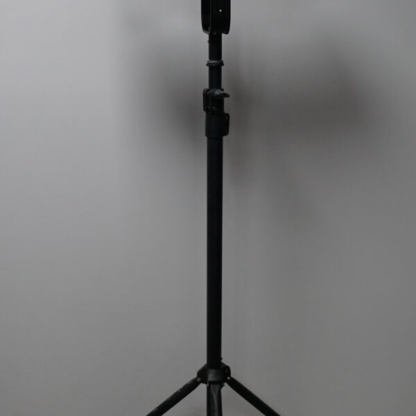 Aputure 300 d2
